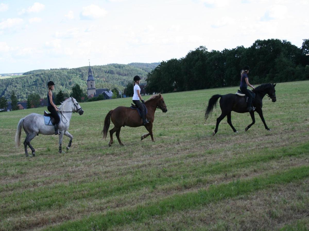 Pferd - Spass - Entspannung Staitz Exteriör bild