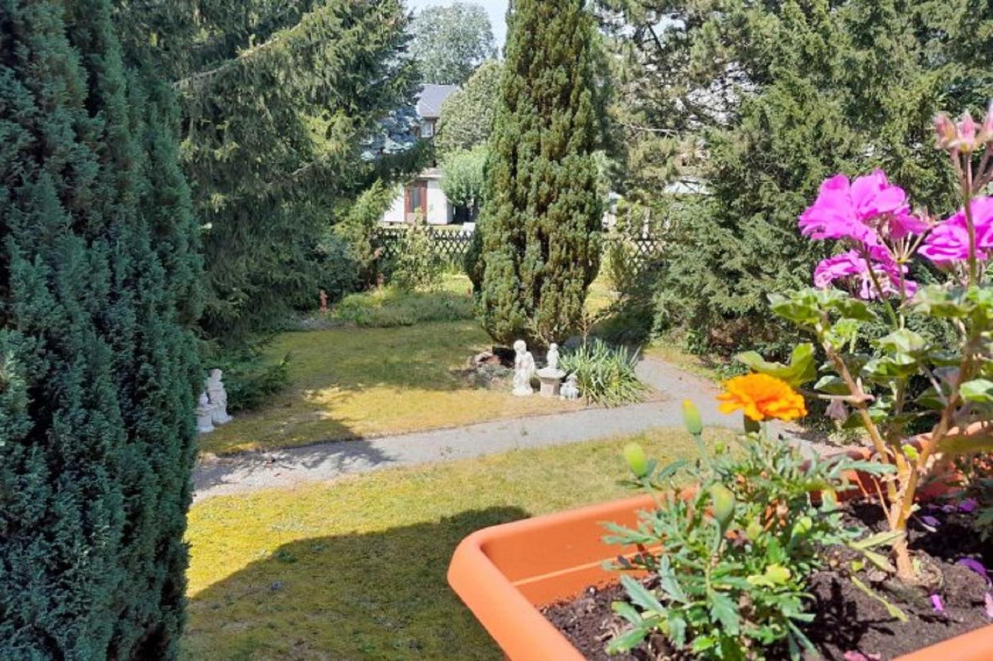 Pferd - Spass - Entspannung Staitz Exteriör bild